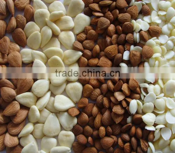 Wet Type Almonds Peeling Machine Peeler photo-3