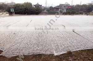 pp Spun Bond Nonwoven Fabric Polypropylene for for Agriculture Usage Cover photo-5