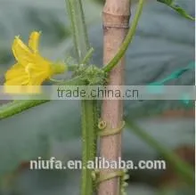 PVC Plastic Coated Garden Twist Ties photo-6