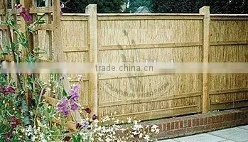 Reed Fence photo-3