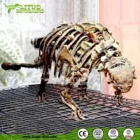 Science Educationa Equipment Fiberglass Dinosaur Fossil Replica photo-3