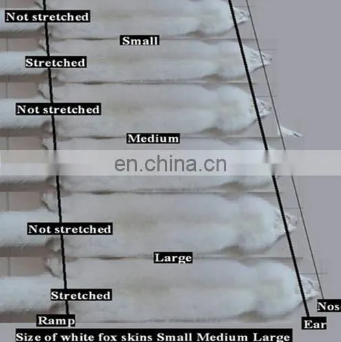 Soft and Smooth High Quality White Fox Fur Skin/white Fox Fur Raw Skins photo-4