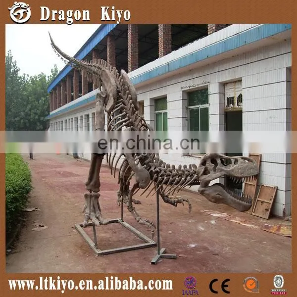 2016 Museum Quality Dig Realistic Plastic Dinosaur Fossils Toy for Fun