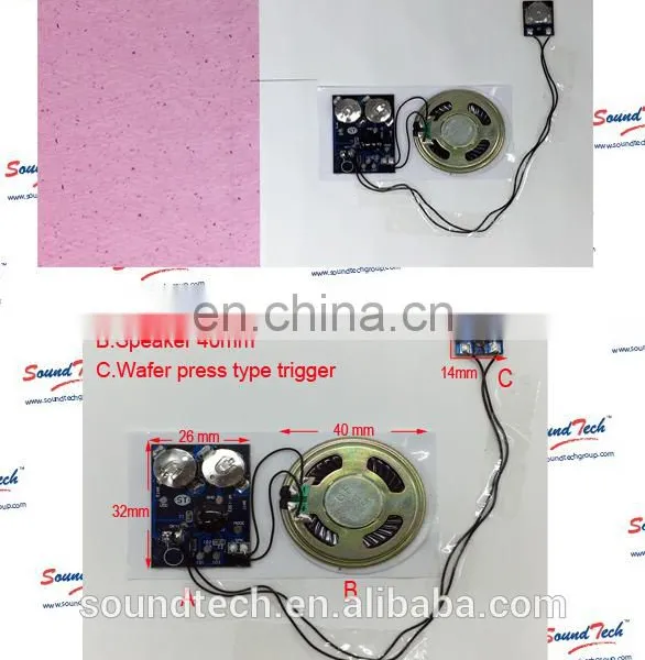 Wafer Press Type Trigger Sound Module on Label photo-3