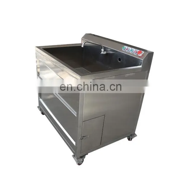 Commercial Automatic Air Bubble Fruit Washing Machine for Sale photo-7
