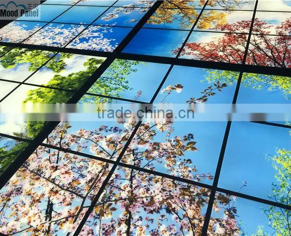 2015 Led Sky Ceiling Panel Blossom Image photo-5