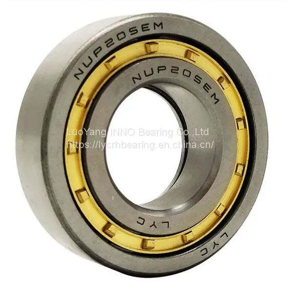 China Good Quality Cylindrical Roller Bearings photo-4