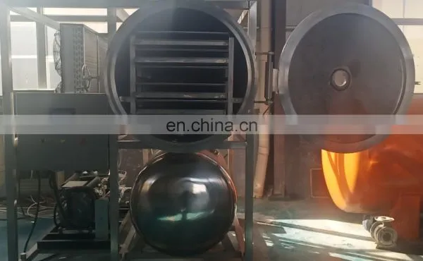 Industrial Lyophilizer Price Coffee Fruit Moisture Sublimation Machine photo-5