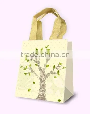 Fancy Gift Bag, Souvenir Packaging Bags photo-3