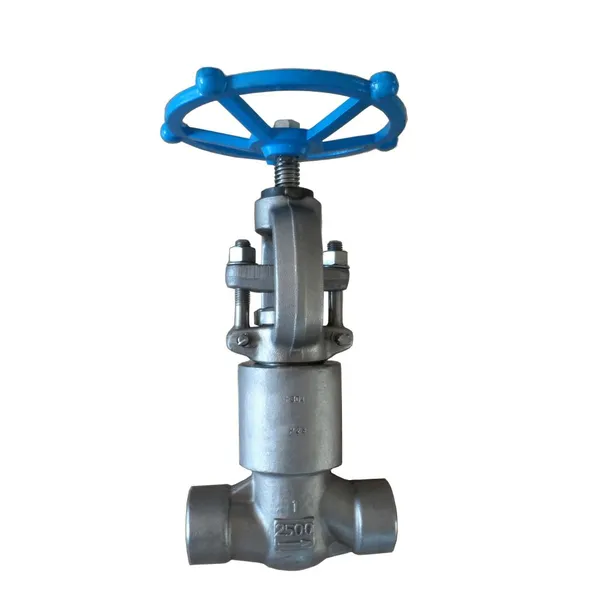 Industrial Forged Steel Gate Valve Replacement With Bonnet Extension for High Temp