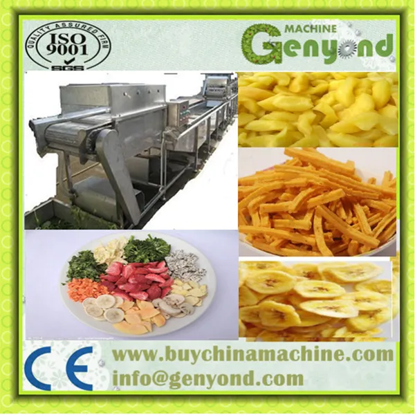 Food Drying Equipment/ Fruit Dryer/microwave Drying Machine photo-2