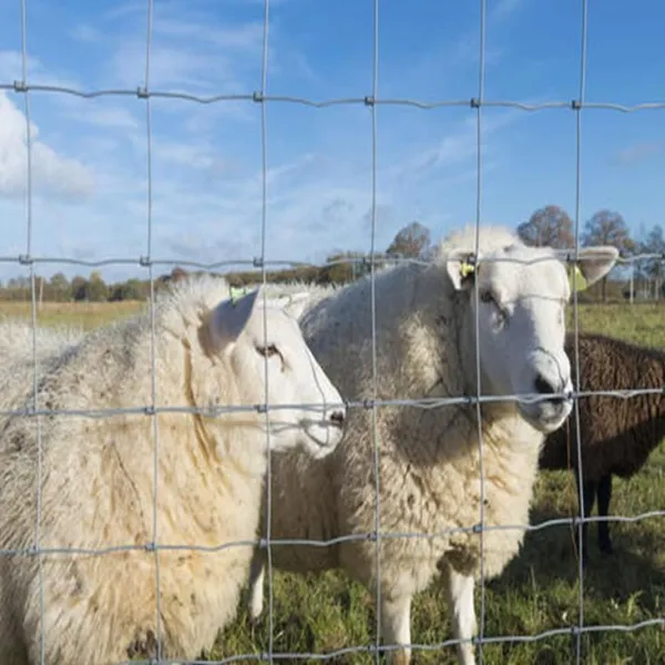 Australian Standard Galvanized Cattle Crush Panels for Livestock Handling Equipment photo-1