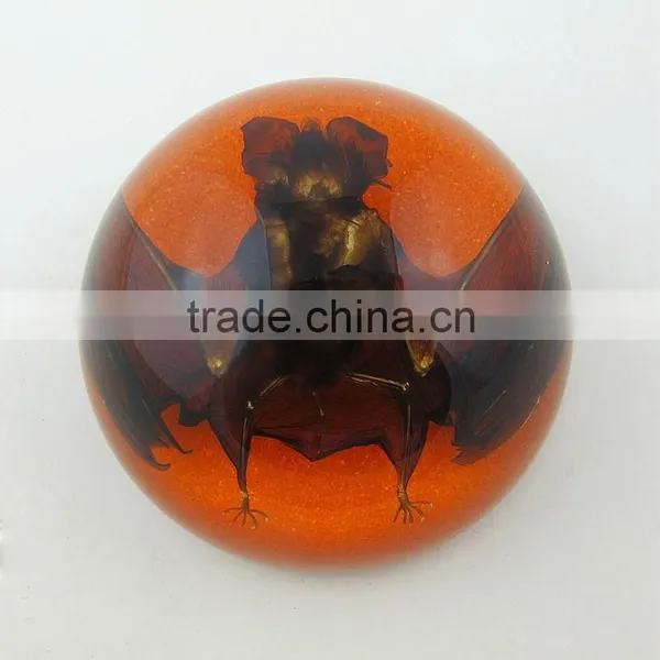 2016 New Design Wholesale Special Business Paperweight With Real Insect photo-2