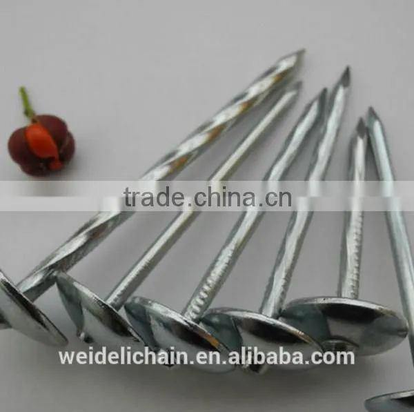 Twisted Shank Umbrella Roofing Nails photo-5