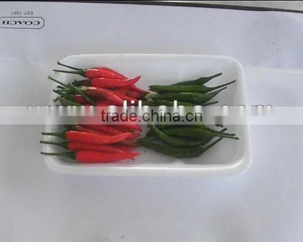 Fresh Chilli