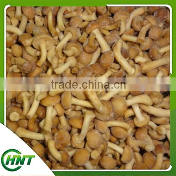 Price For Purchase Nameko Frozen Class A photo-5