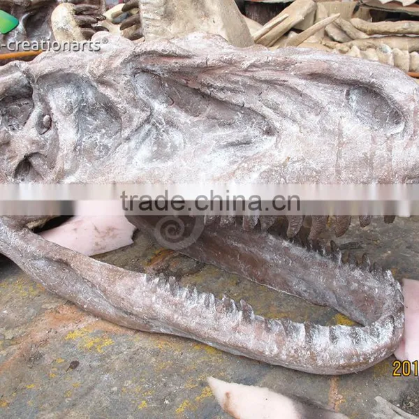 Hot Sale Fiberglass Life Size Dinosaur Skull photo-2