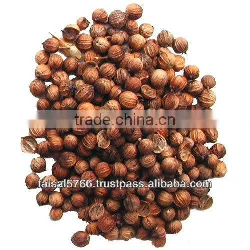 CORIANDER WHOLE (BROWN)