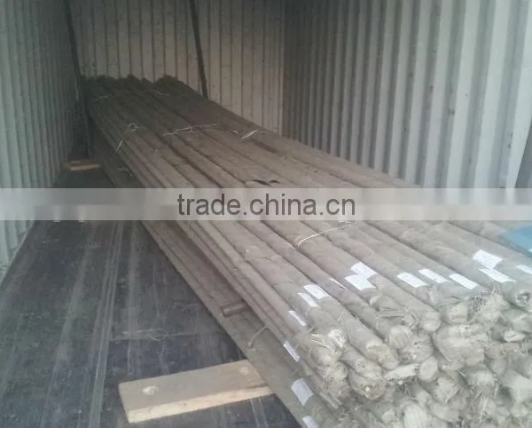 Formwork Tie Rod photo-4