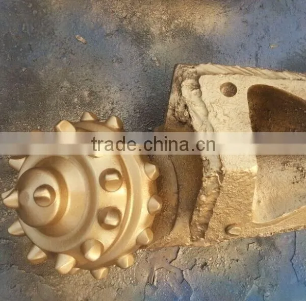 Manufacturers Selling All Kinds of Roller Palm photo-6