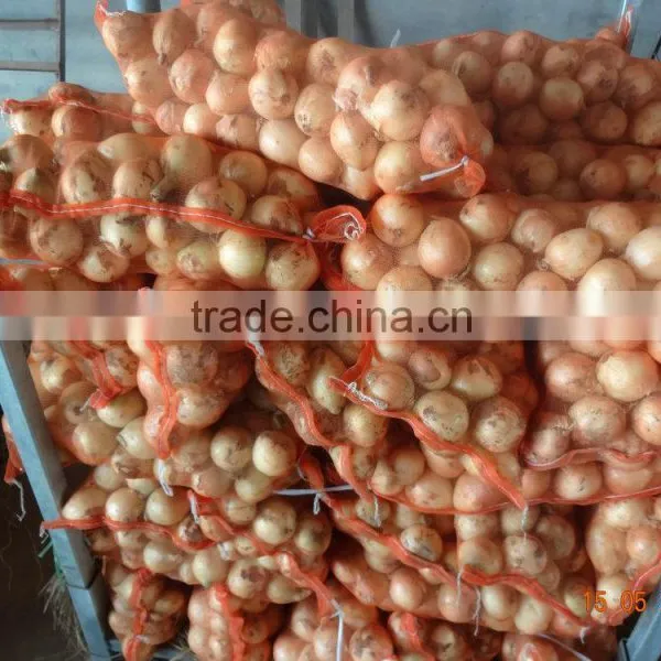 Yellow Onions Wholesale Prices for Sale photo-4