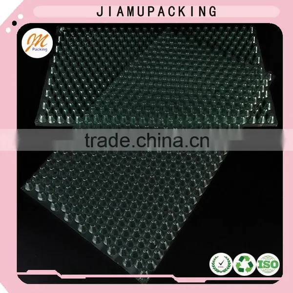 Transparent Vegetable Seed Starter Tray photo-3