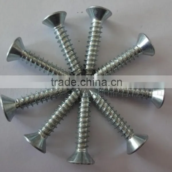 Galvanized Steel Self Tapping Screw photo-4