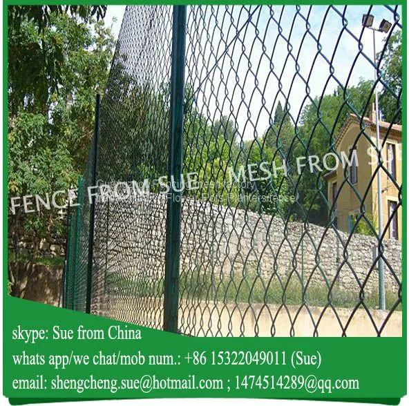 Africa Farm Pvc Coated Diamond Wire Mesh Fence Wholesale photo-2