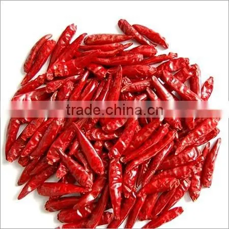 Indian Chilli for Sale photo-5