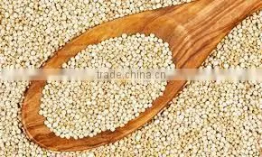 BULK QUINOA photo-6