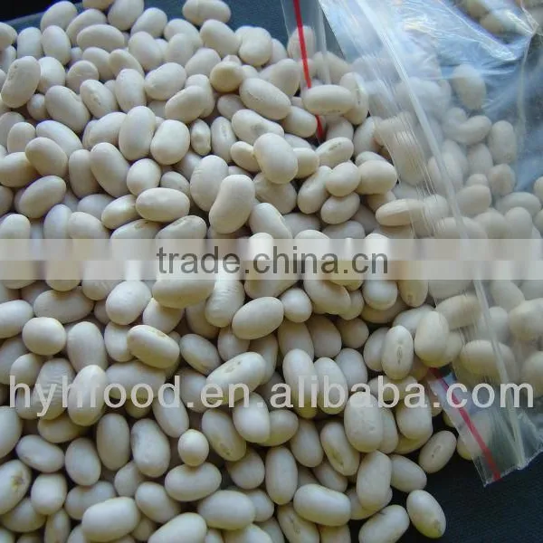White Kidney Beans