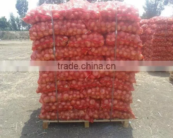 ONION SIZES ( 40 - 60 - 50 - 70 - 60 - 80 - up to 100 mm ) photo-3