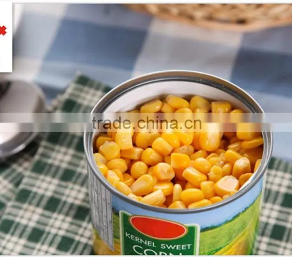 Canned Sweet Yellow Corn With Best Factory Corn Price photo-3