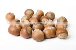 Spanish Hazelnuts