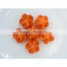 IQF Vegetables-Frozen Carrot