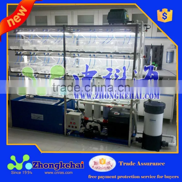 Intensive Culture of Zebrafish,Zebrafish Feeding Sysytem photo-3