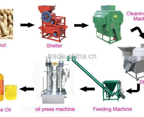 Stable Mini Olive Oil Press Machine photo-2