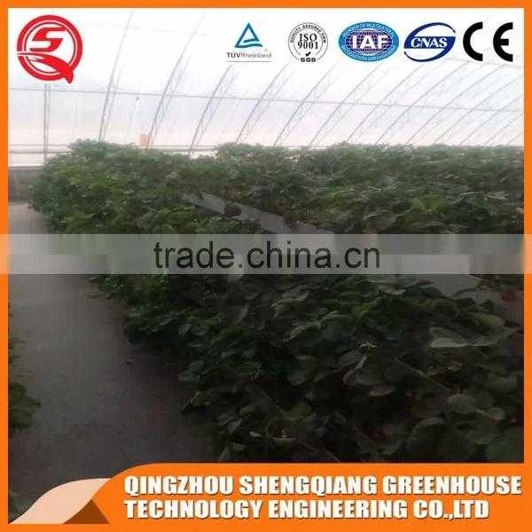 China Factory Direct Glass Greenhouse Hydroponic Systems for Sale photo-5