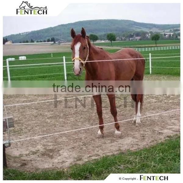 High Quality Fentech Electric Fence for Sheep photo-3
