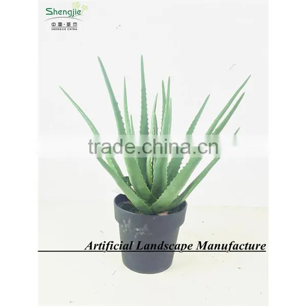 SAS201607 Artificial Green Plant for Indoor Decoration photo-6