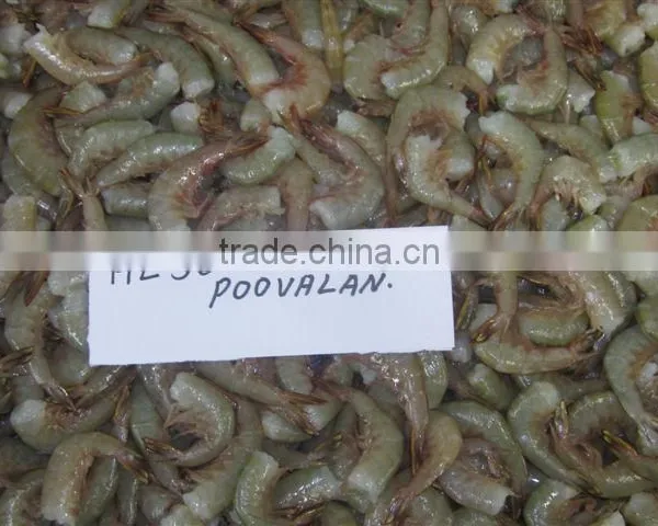 HLSO Shrimps Poovalan photo-2