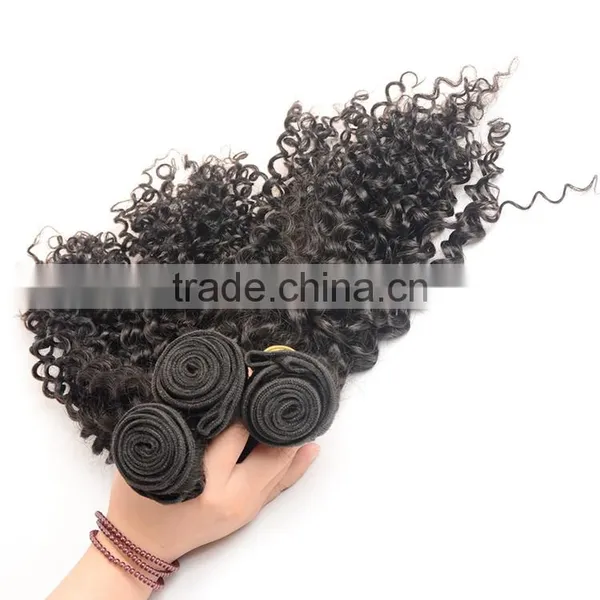 Unprocessed Virign Indian Human Hair Weaves Curly Wholesale Kinky Curly Indian Hair Extensions photo-2
