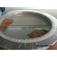 PTFE Filler Spiral Wound Gasket