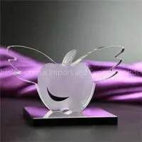 Flying Crystal Apple Crafts