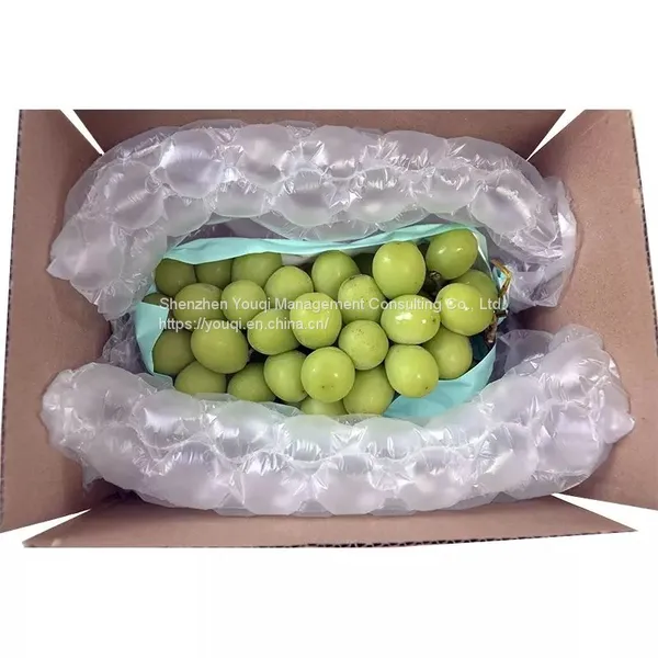 300 Meters Bubble Film Rolls/ Customizable Bubble Wrapper/ Inflatable Cushioned Bubble Film/ photo-3