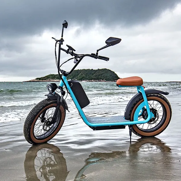 Two Wheels 1000W 20inch Fat Tire Electric Scooter photo-3