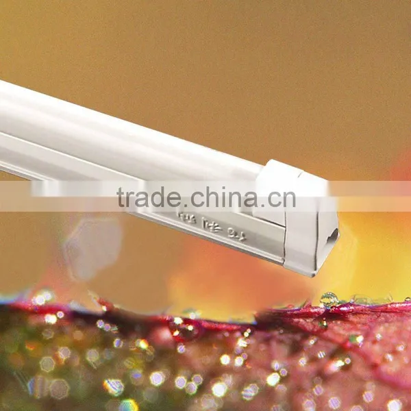 Fluorescent Lamps