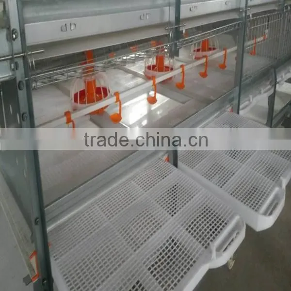New Design Fully Automatic Cheap Chicken Coops for Brolier Chicken Farm photo-3