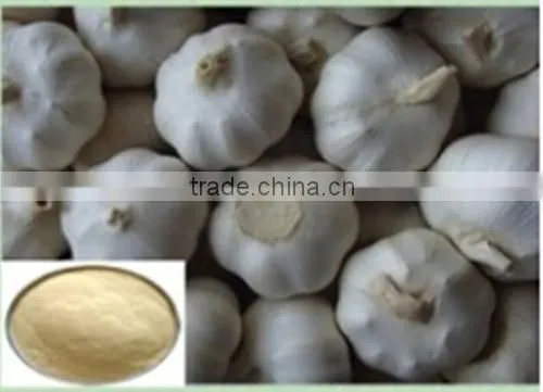 100% Natural Garlic Extract Pure Natural Plant Extracts