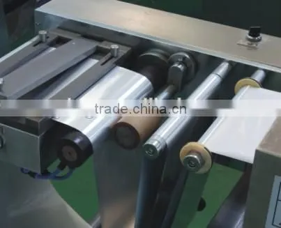 Automatic Blister Packing Production Line photo-4